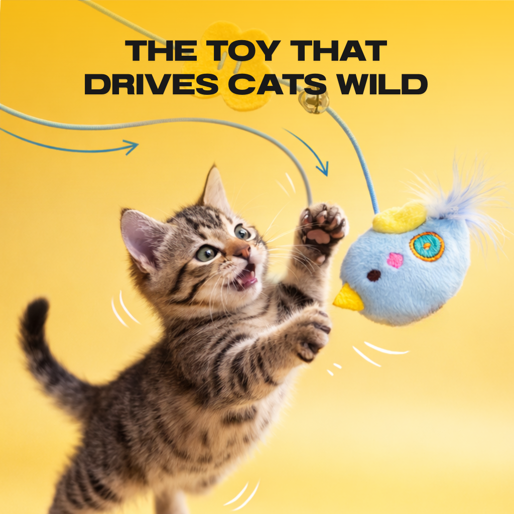 OddHub - THE AUTOMATIC YO-YO TOY THAT DRIVES CATS WILD